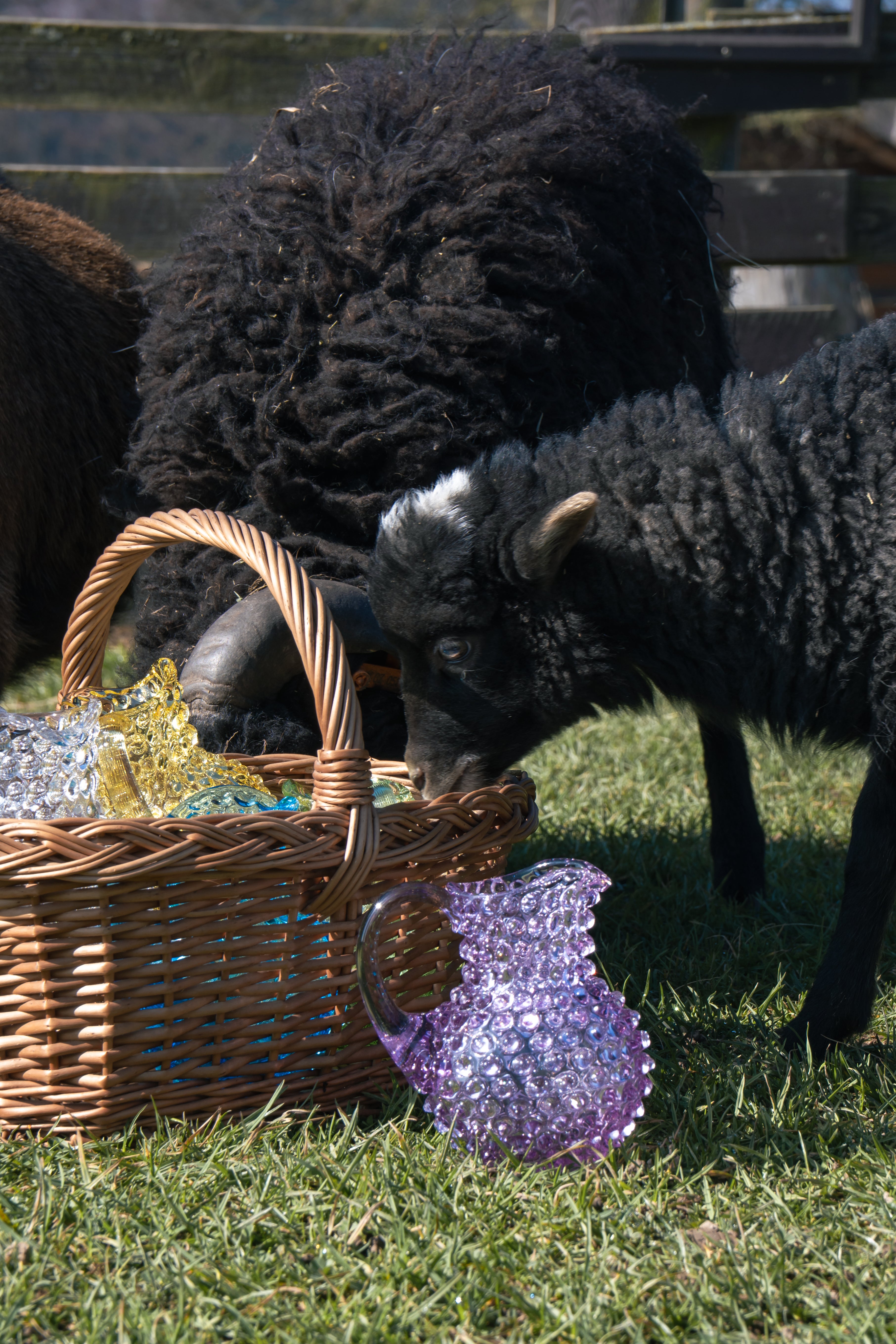Džbánek Lilac Hobnail Creamer