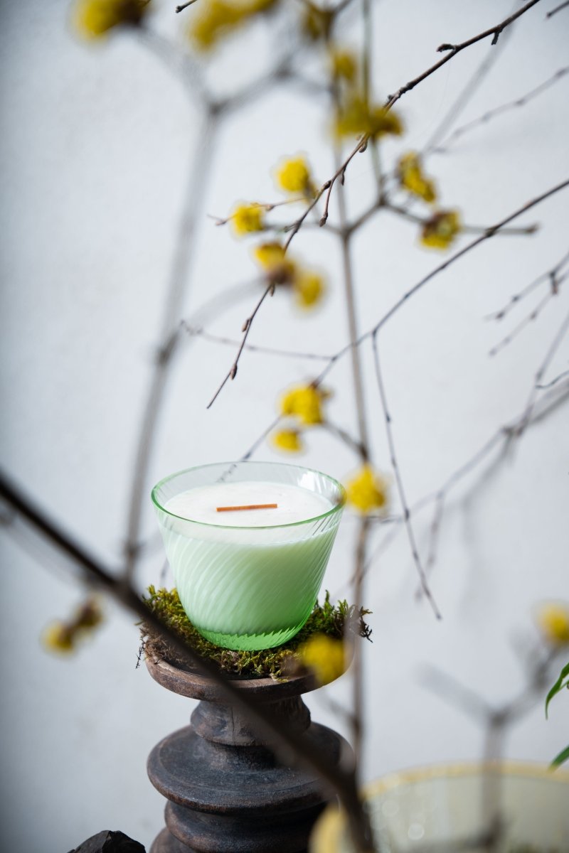 Small Candle Linea Citrus & Wood - KLIMCHI